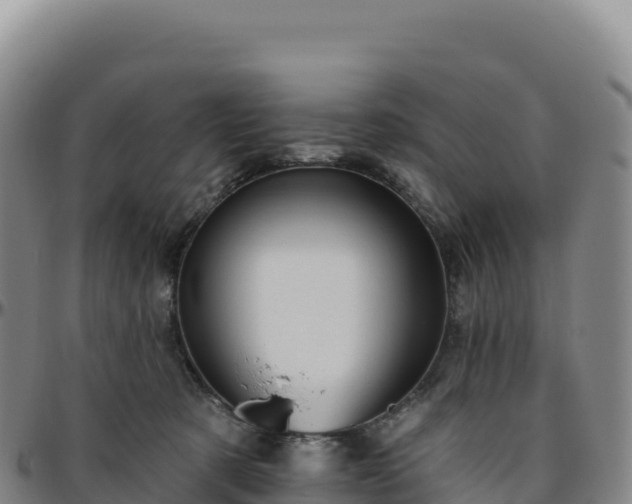 X0000096490321200801311624