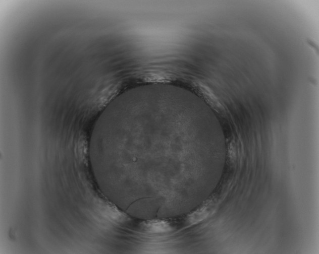 X0000096490322200801311624