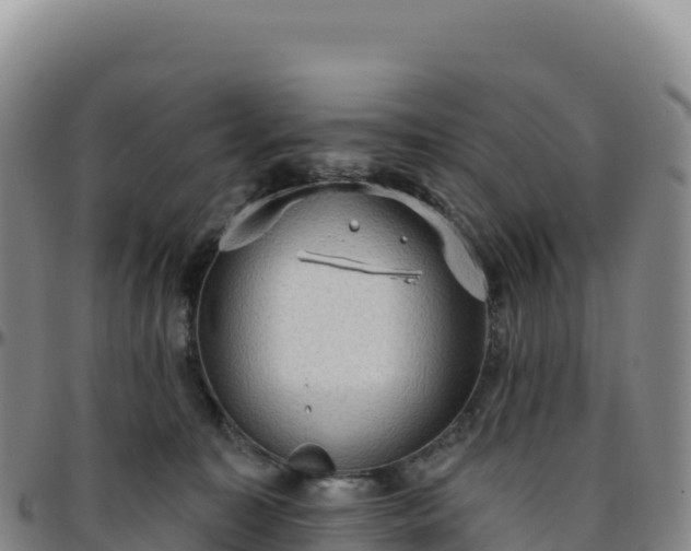 X0000096490323200801311624