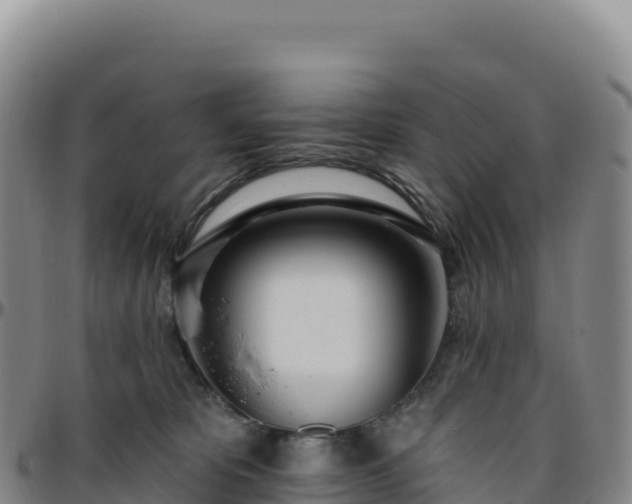 X0000096490325200801311624