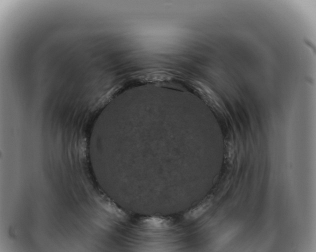 X0000096490326200801311624