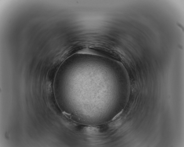 X0000096490327200801311624