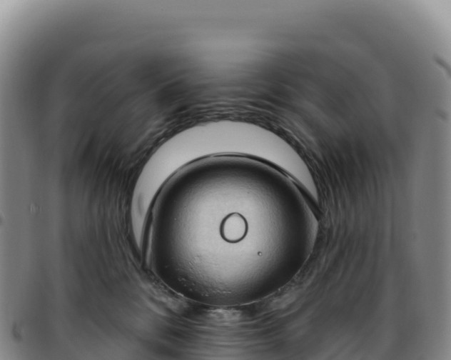 X0000096490328200801311624