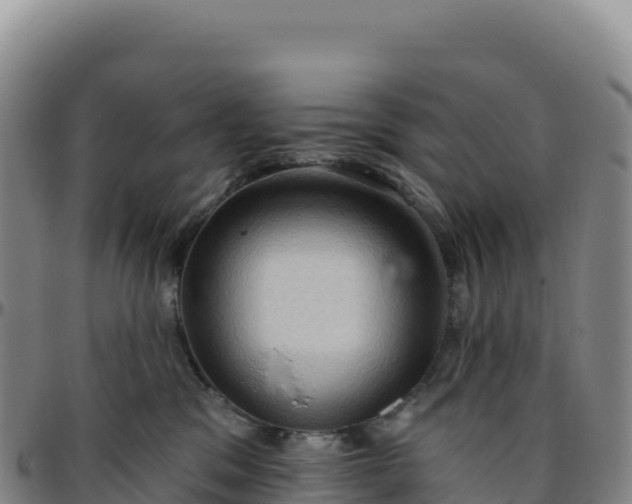 X0000096490329200801311624