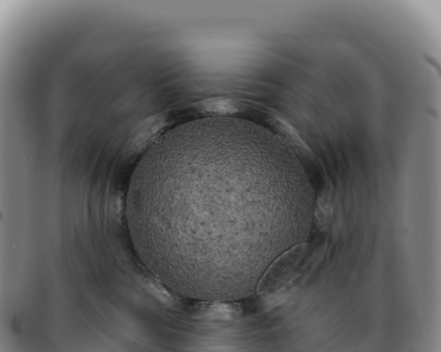 X0000096490330200801311624