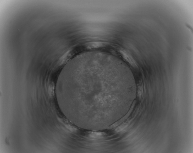 X0000096490332200801311624