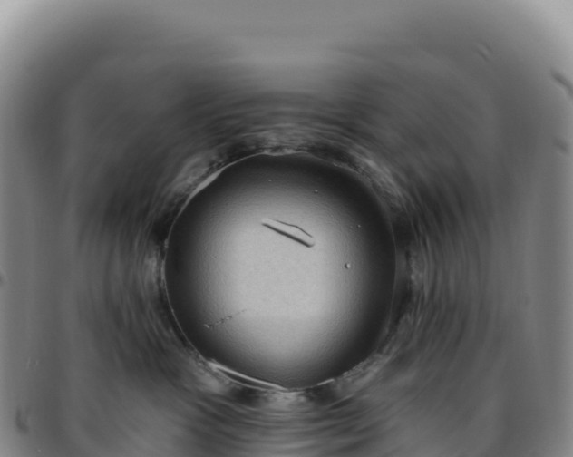 X0000096490333200801311624