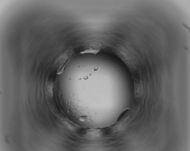 X0000096490334200801311624