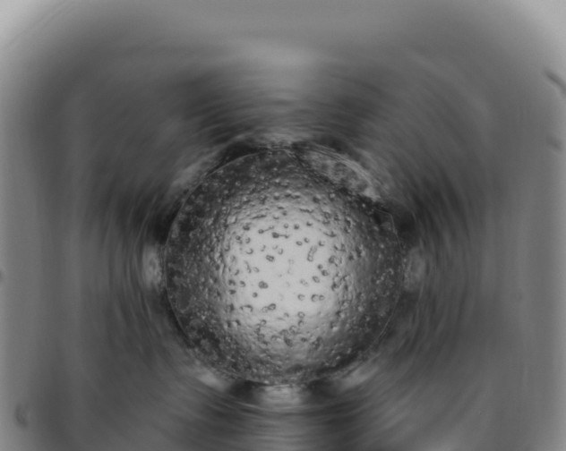 X0000096490335200801311624