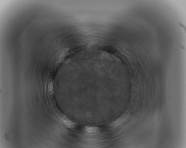 X0000096490336200801311624