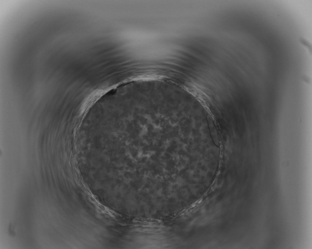 X0000096490337200801311623