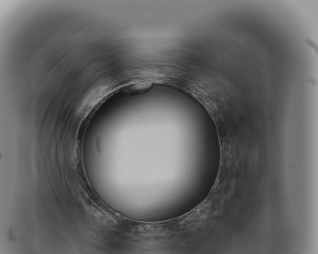 X0000096490338200801311623