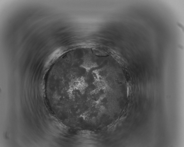 X0000096490339200801311623