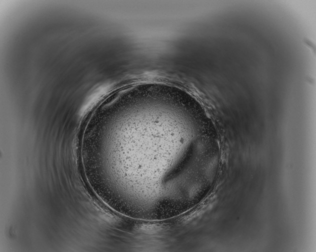 X0000096490341200801311623