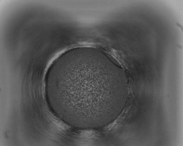 X0000096490342200801311623