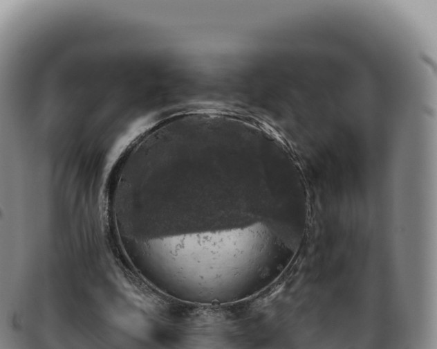 X0000096490343200801311623