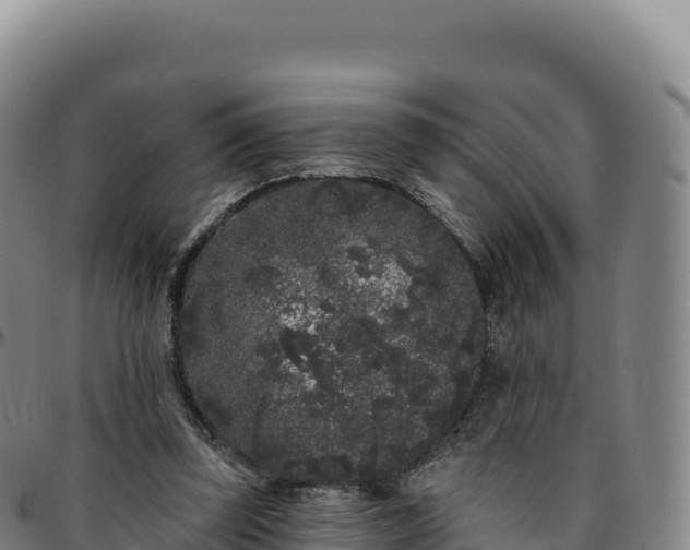 X0000096490347200801311623