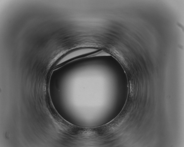 X0000096490348200801311623