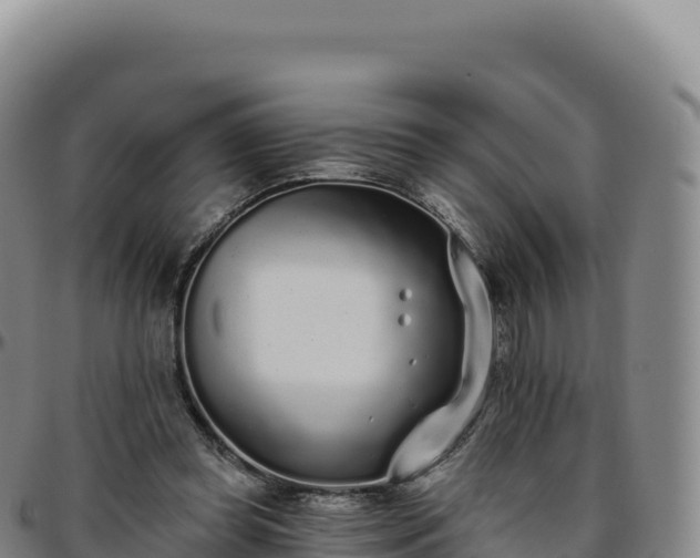 X0000096490349200801311623