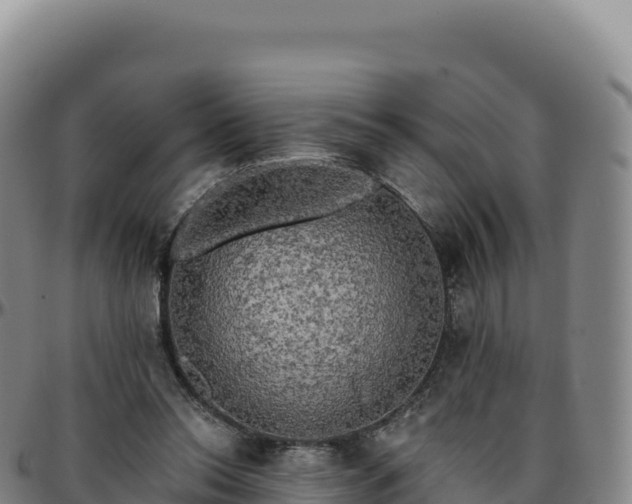 X0000096490350200801311623