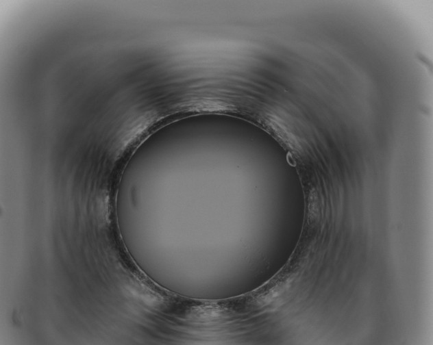 X0000096490351200801311623