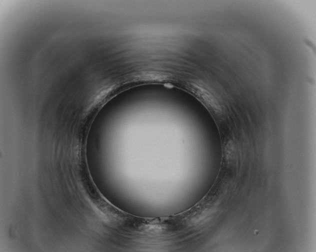 X0000096490352200801311623