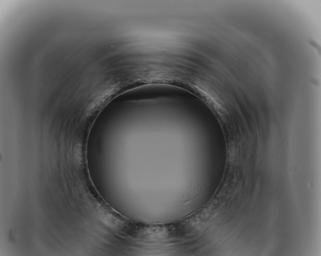 X0000096490353200801311623