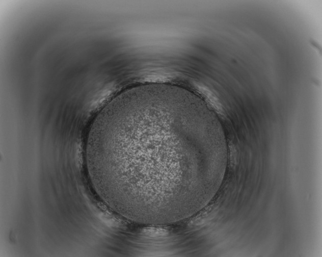 X0000096490354200801311623