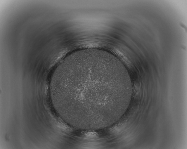 X0000096490355200801311623