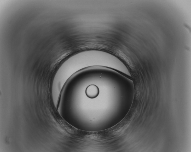 X0000096490356200801311623