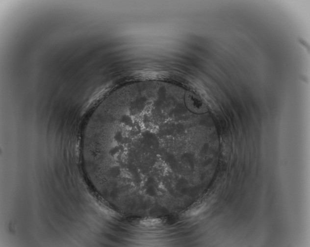 X0000096490357200801311623