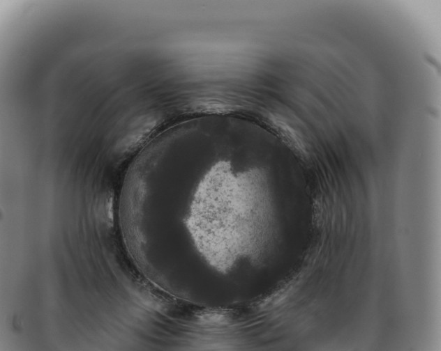 X0000096490358200801311623