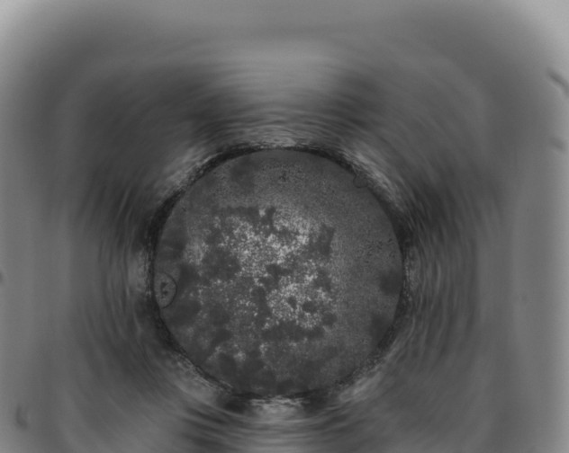 X0000096490359200801311623