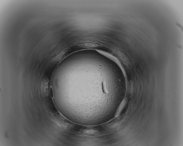 X0000096490360200801311623