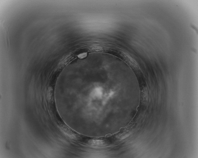 X0000096490361200801311623