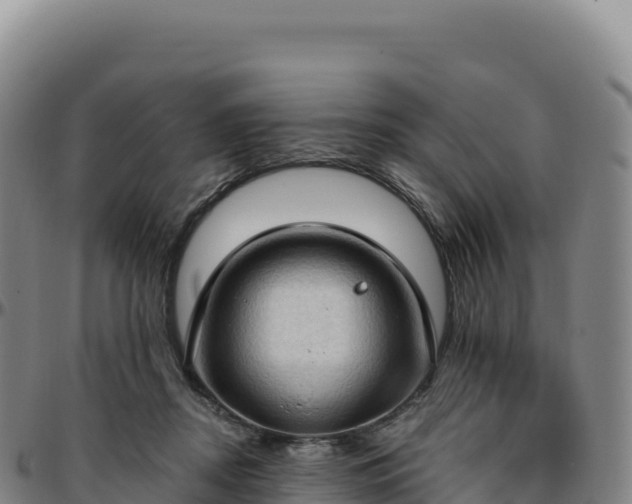 X0000096490362200801311623