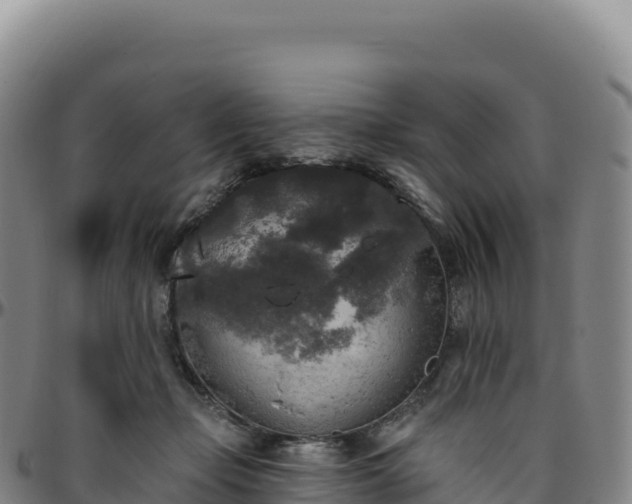 X0000096490365200801311623