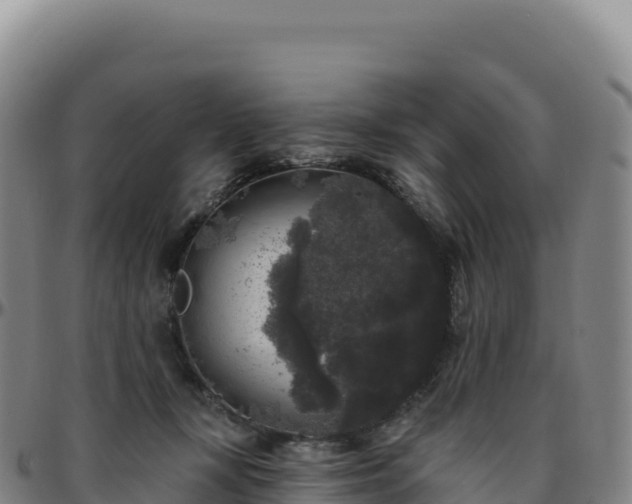 X0000096490367200801311623