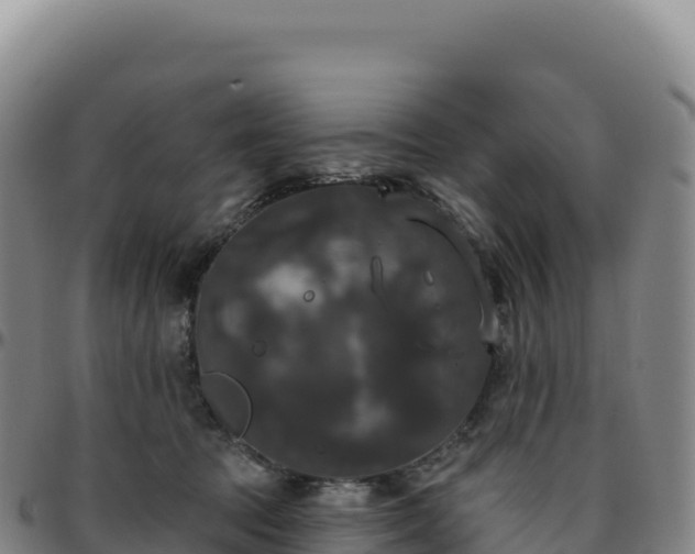 X0000096490369200801311623