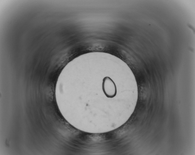 X0000096490370200801311623