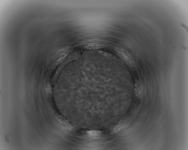 X0000096490371200801311623