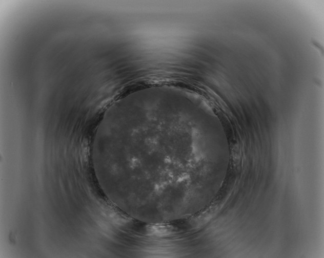 X0000096490372200801311623