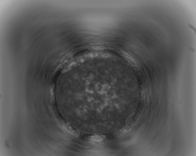 X0000096490373200801311623