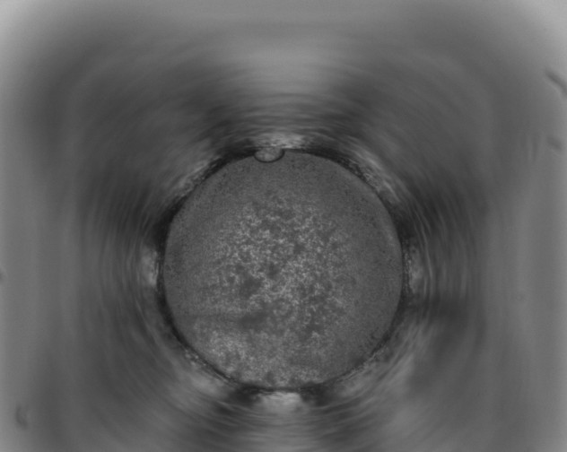 X0000096490374200801311623