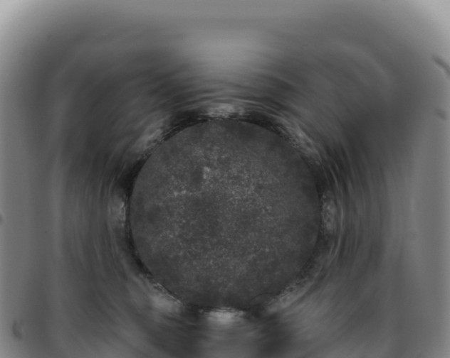 X0000096490375200801311623