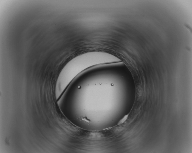 X0000096490376200801311623