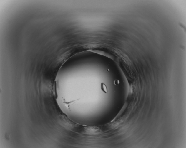 X0000096490380200801311623