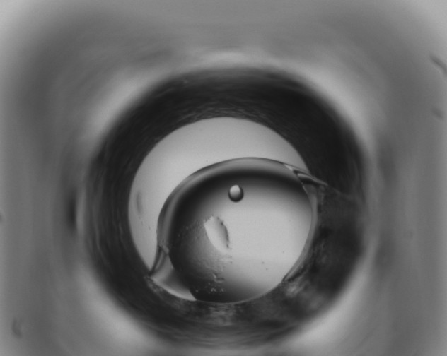 X0000096490382200801311623