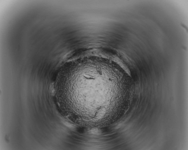 X0000096490383200801311623