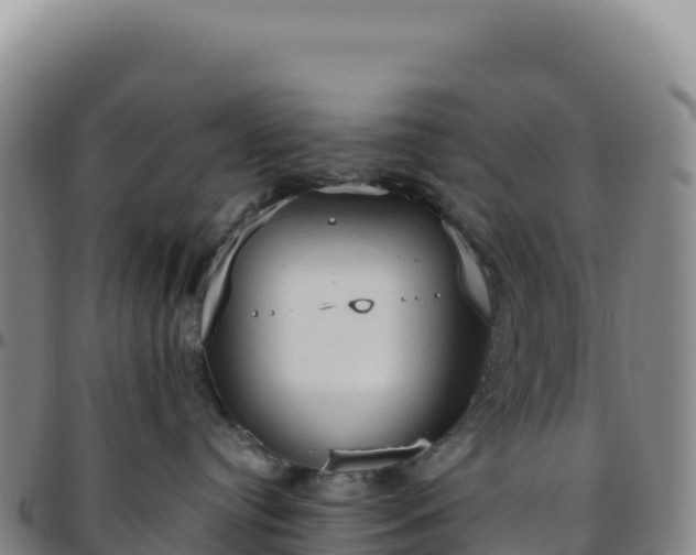 X0000096490384200801311624